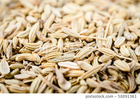 Dried fennel seeds. 58891361
