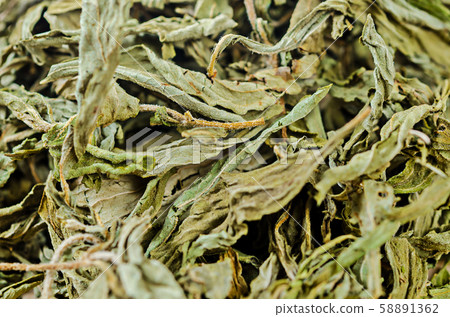 Stevia rebaudiana Bertoni, sweet leaf sugar 58891362
