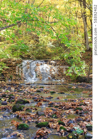 A small waterfall flowing through Nishioka Park in Hokkaido during autumn foliage season 58892402