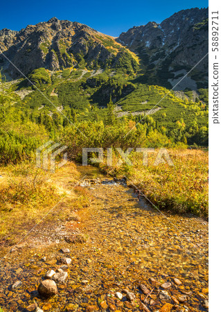 Mountain landscape with a stream at autumn season. 58892711