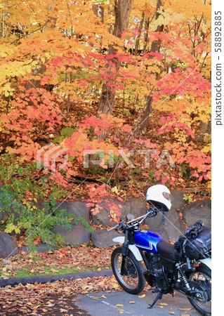 Autumn leaves and parked bikes Autumn leaves and parked bikes 58892885