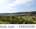 Autumn vineyard 58892896