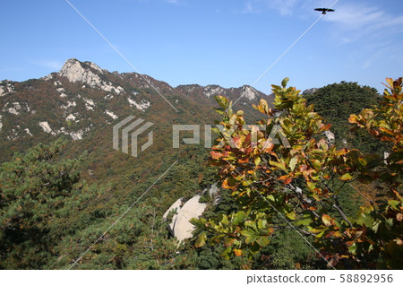 國家公園,北漢山,步道 國家公園,北漢山,步道 58892956