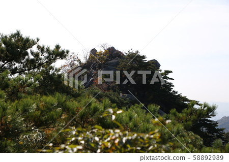 國家公園,北漢山,步道 國家公園,北漢山,步道 58892989
