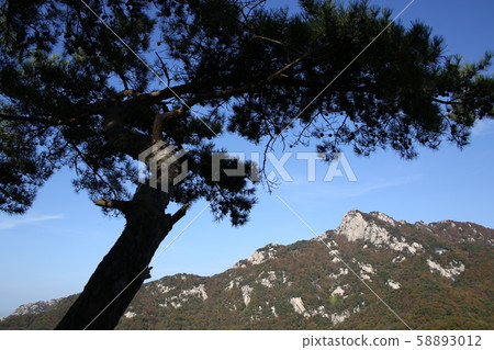 National Park, Bukhansan Mountain, Trail 58893012