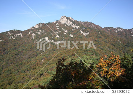 國家公園,北漢山,步道 國家公園,北漢山,步道 58893022