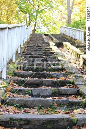 秋天公園的長樓梯，秋葉季節 58893064
