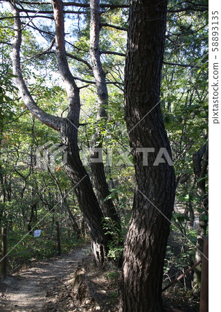 國家公園，北漢山，步道 58893135