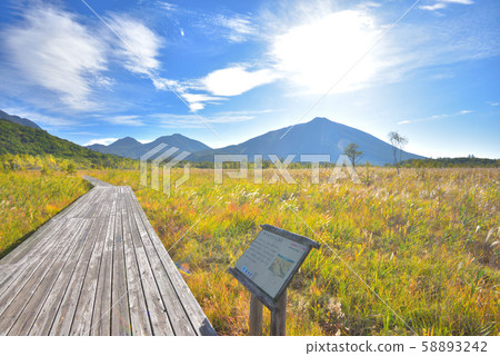 Grass field leaves Senjogahara and Akisora 58893242