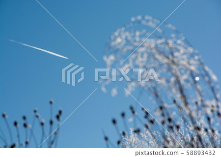 Winter cold morning contrails Winter cold morning contrails 58893432