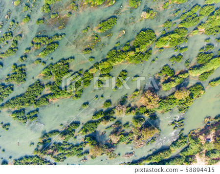 Aerial top down view of 4000 islands Mekong River 58894415