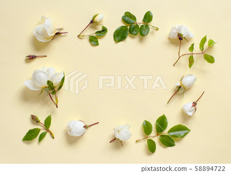 Flowers on a light yellow background 58894722