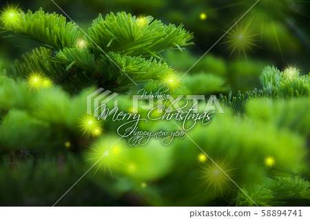 Nativity, Kashiwagi, Stars, Christmas, Hinoki, Starburst, Christmas, cypress 58894741