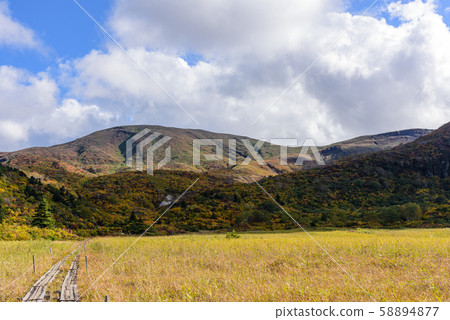 Mt. Kurikoma秋葉 58894877