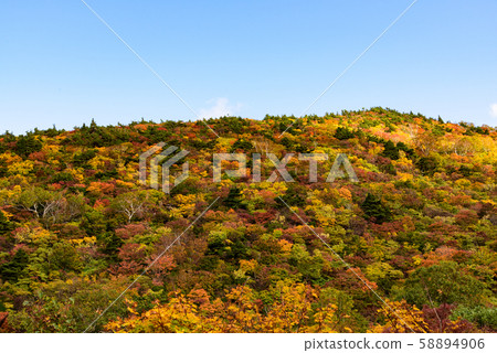 Autumn leaves of Mt. Kurikoma 58894906
