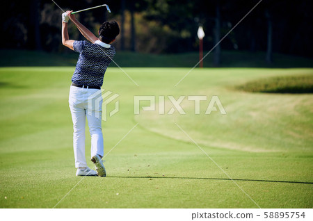 GOLF Pro Iron Shot 58895754