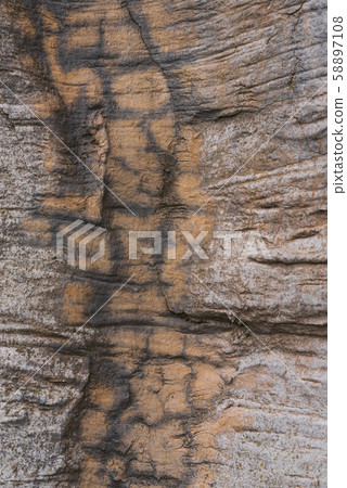 Sandstone surface.Textured stone Sandstone surface.Textured stone 58897108