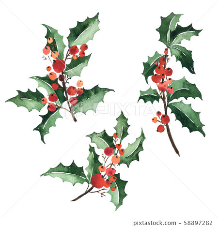 Watercolor collection of Christmas floral Watercolor collection of Christmas floral 58897282