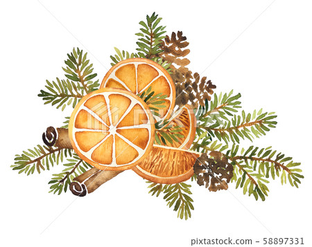 Watercolor Christmas floral arrangement of spruce Watercolor Christmas floral arrangement of spruce 58897331