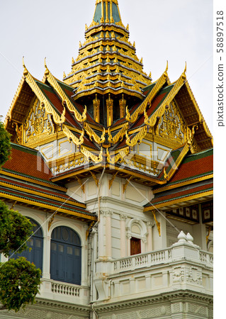 thailand asia    bangkok rain  tree      colors 58897518