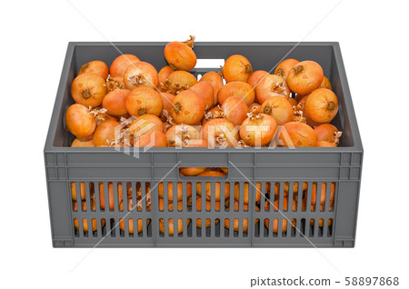 Onions in the plastic crate, 3D rendering Onions in the plastic crate, 3D rendering 58897868