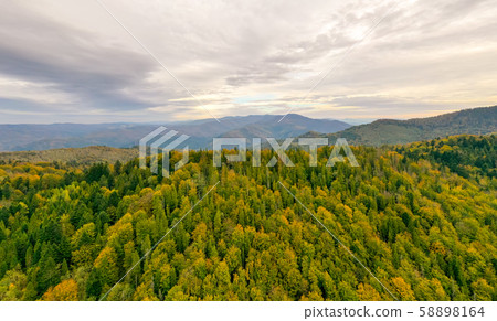 Beautiful Autmn forest shining at sunset. Flying above Colorful mountain flora 58898164