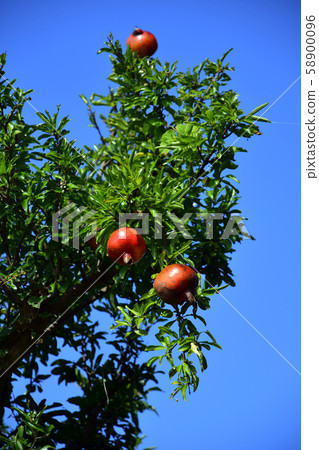 Ishizuchi Blue Sky Ishizuchi Blue Sky 58900096