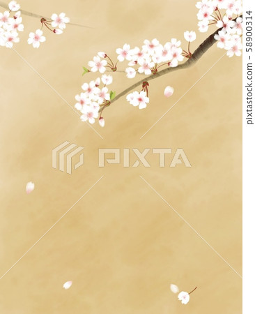 Japanese cherry 58900314