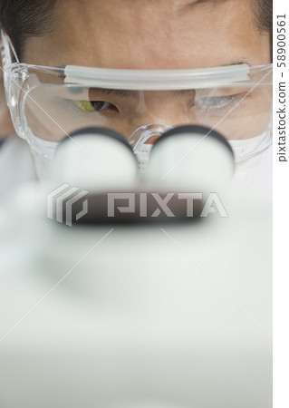 researcher  58900561