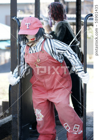 鳥取的四季四季春 58901435