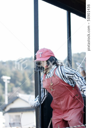 鳥取的四季四季春 58901436