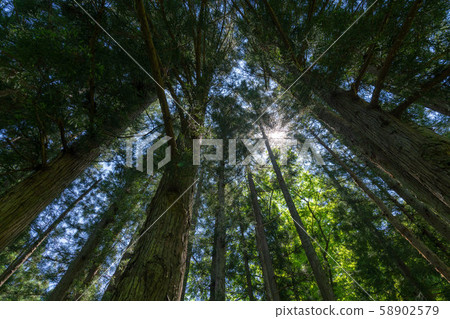 增田市最深處的山間小道03 增田市最深處的山間小道03 58902579