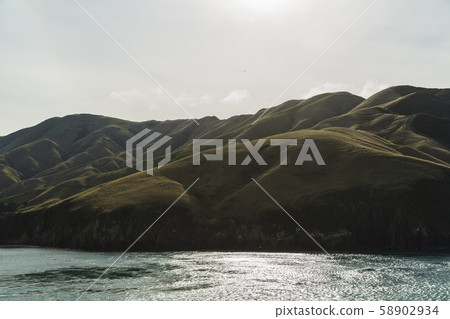 從輪渡到新西蘭皮克頓的阿拉帕瓦島 58902934