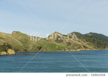 西頭從輪渡到新西蘭皮克頓 58902936