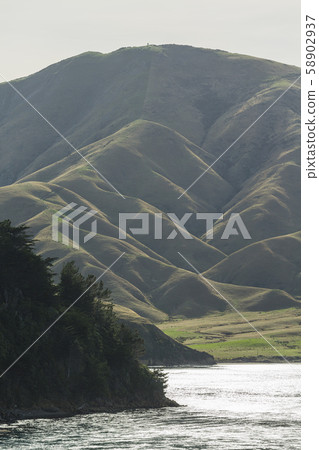 從輪渡到新西蘭皮克頓的阿拉帕瓦島 58902937