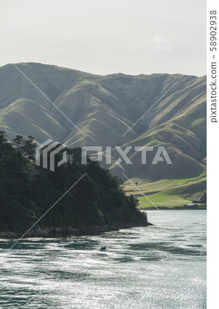 從輪渡到新西蘭皮克頓的阿拉帕瓦島 58902938