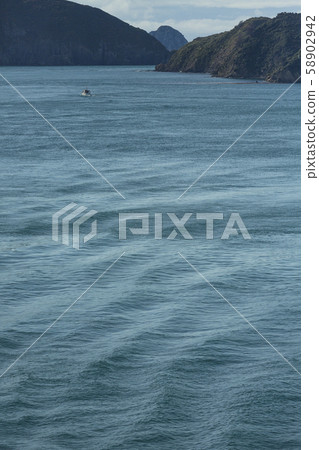 West Head from the ferry to New Zealand Picton 58902942