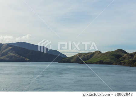 從輪渡到新西蘭皮克頓的阿拉帕瓦島 58902947