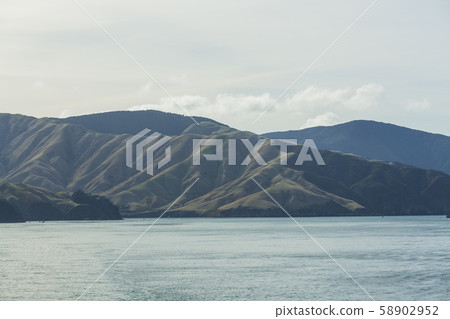 從輪渡到新西蘭皮克頓的阿拉帕瓦島 58902952