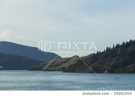 從輪渡到新西蘭皮克頓的阿拉帕瓦島 58902954