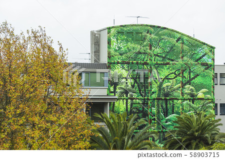 新西蘭尼爾森秋天彩色的街道 58903715