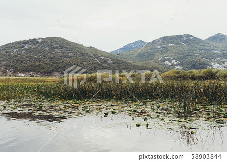 Lake Skadar National Park in Montenegro 58903844