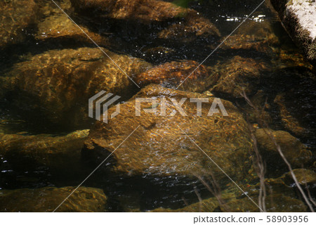 Tottori Four Seasons Walk Spring Awazu Valley 58903956