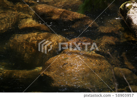 Tottori Four Seasons Walk Spring Awazu Valley 58903957