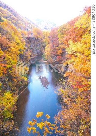 定山溪在深秋染 定山溪在深秋染 58904310