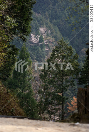 Tottori Four Seasons Walk Spring Awazu Valley 58905415