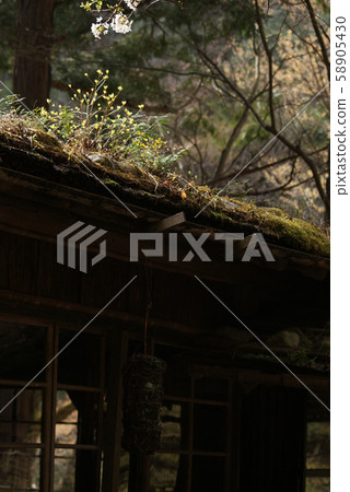 Tottori Four Seasons Walk Spring Awazu Valley 58905430