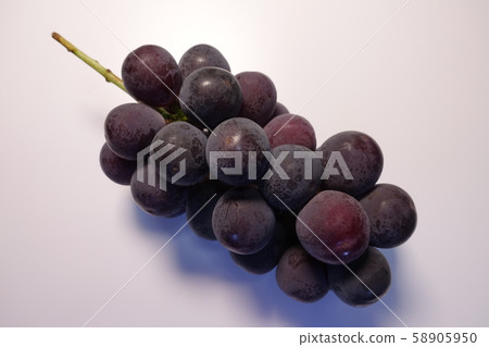 Grape Pione 58905950