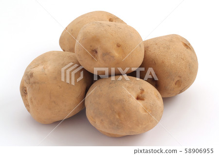 Potatoes (Kita Akari) 58906955