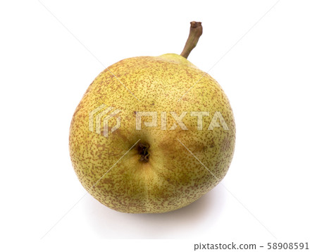 Pear General Relarak 58908591